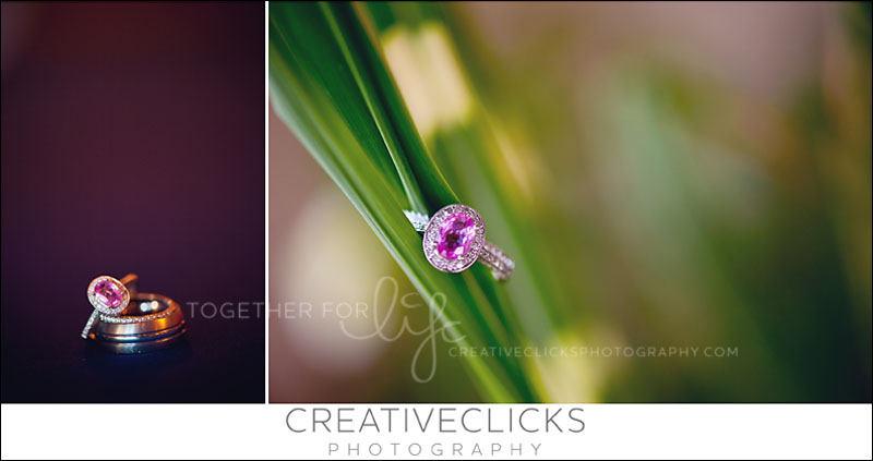 wedding-rings-niagara-photography Niagara Wedding Photographer