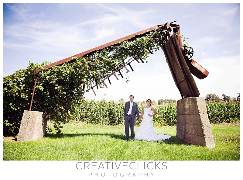 Niagara-Wedding-Photographer_117 bride and groom portrait vineyards barn