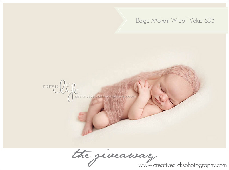 Professional-Baby-Photographer-Niagara_119 copy Baby Wrapped in Blush Mohair Wrap
