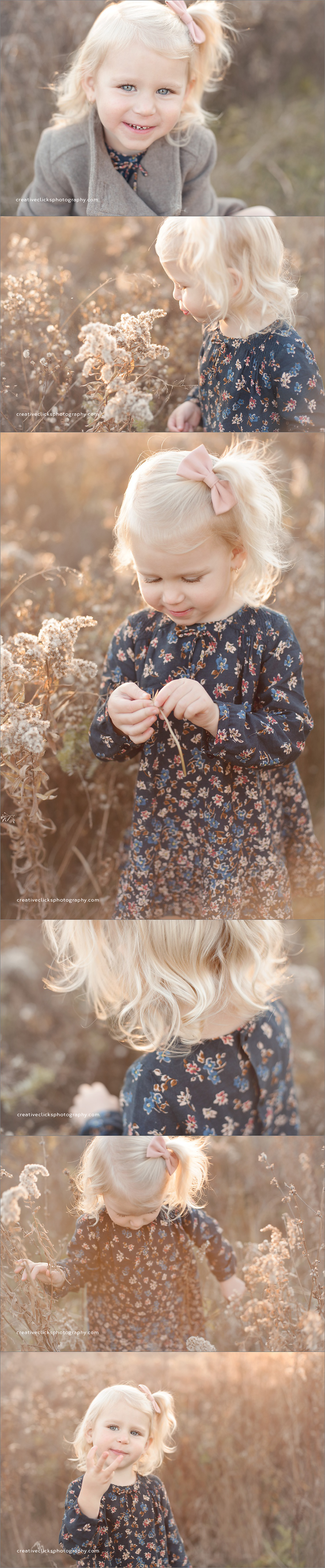 toddler in field in golden light