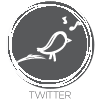 Twitter button