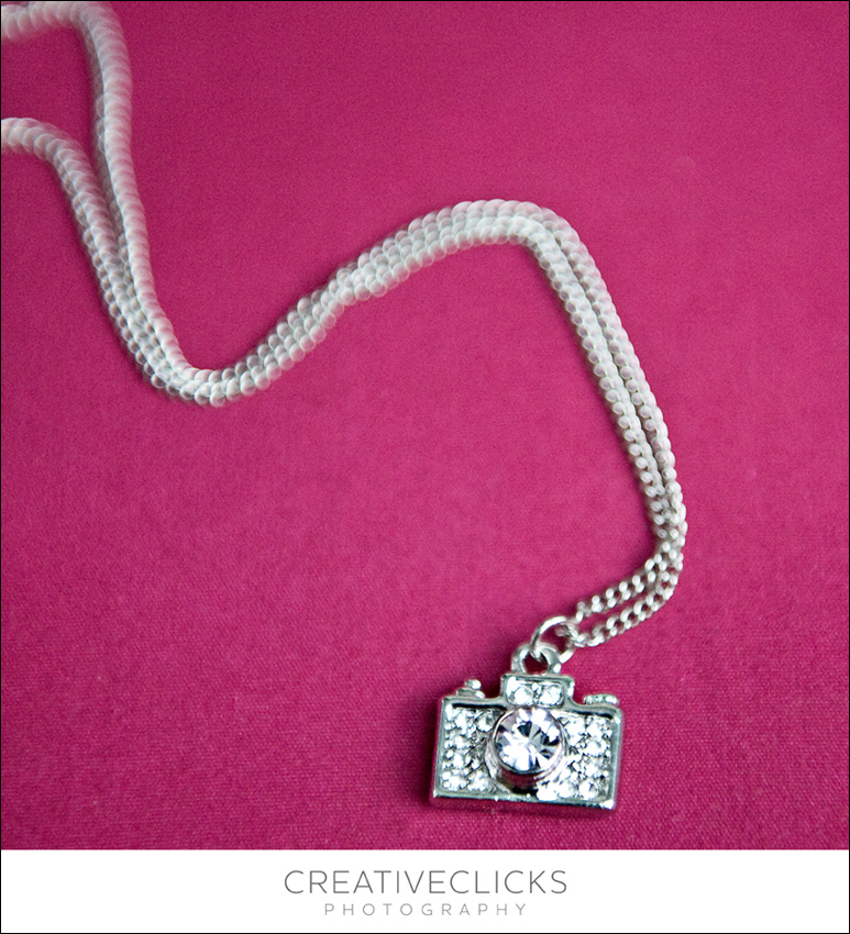 giveaway-camera-necklace Niagara Family Photographer